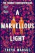 A Marvellous Light by Freya Marske book cover