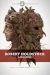 Lavondyss by Robert Holdstock book cover