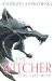 The Last Wish by Andrzej Sapkowski book cover
