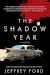 The Shadow Year by Jeffrey Ford book cover